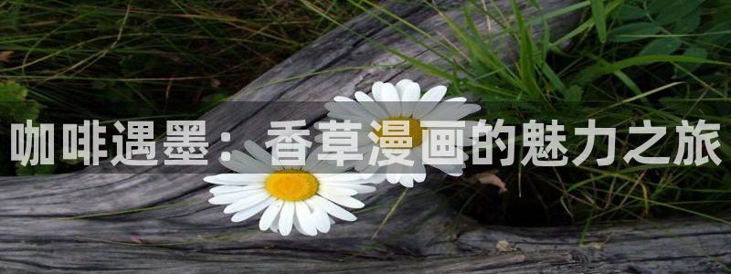 51漫画安装包：咖啡遇墨：香草漫画的魅力之旅